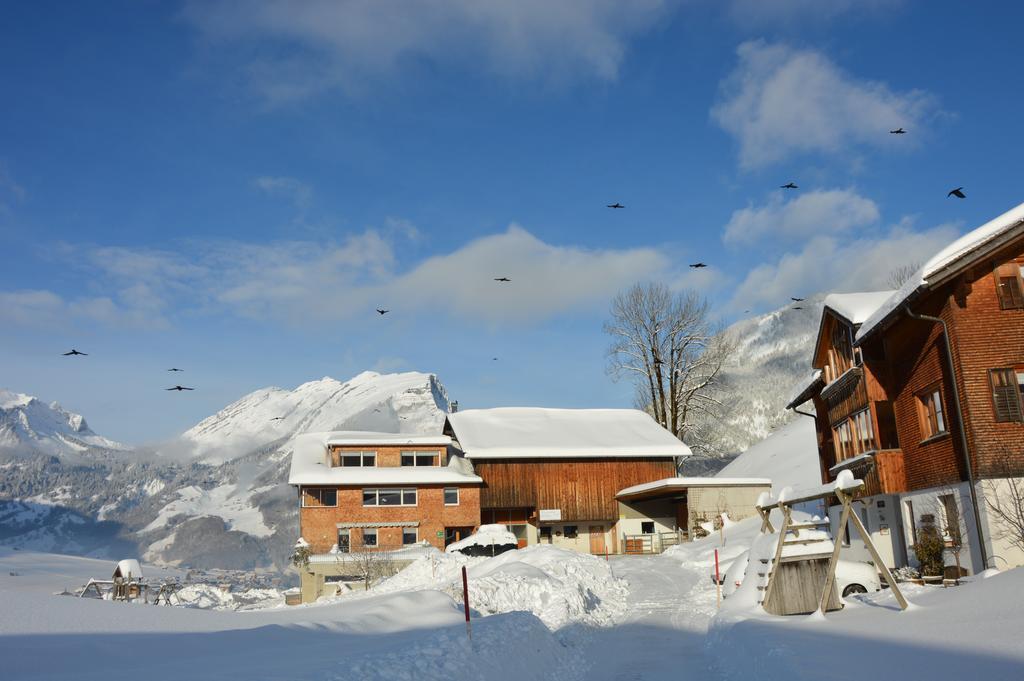 Appartments Haus Monika Schoppernau Dış mekan fotoğraf